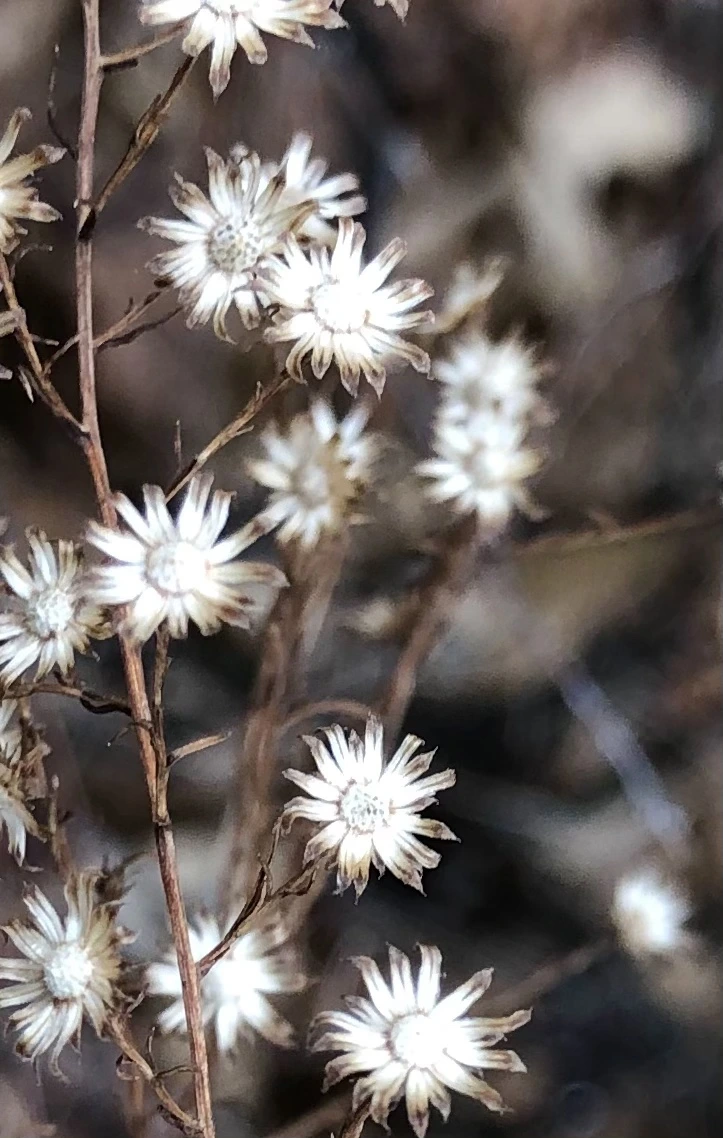 IMG_6501.jpg?type=w966