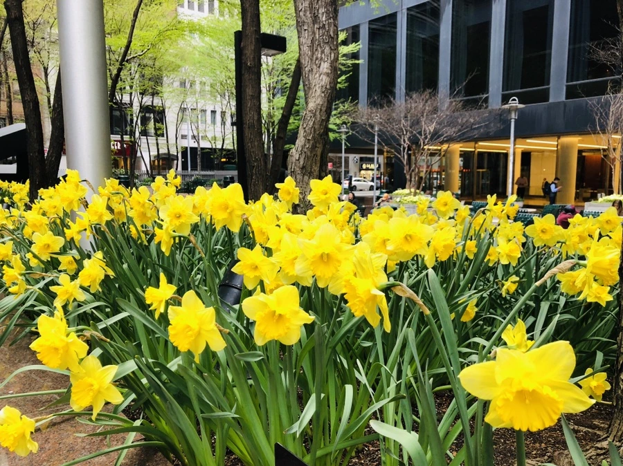 IMG_2597.jpg?type=w966