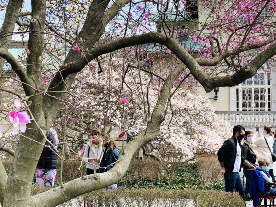 IMG_7229.jpg?type=w966