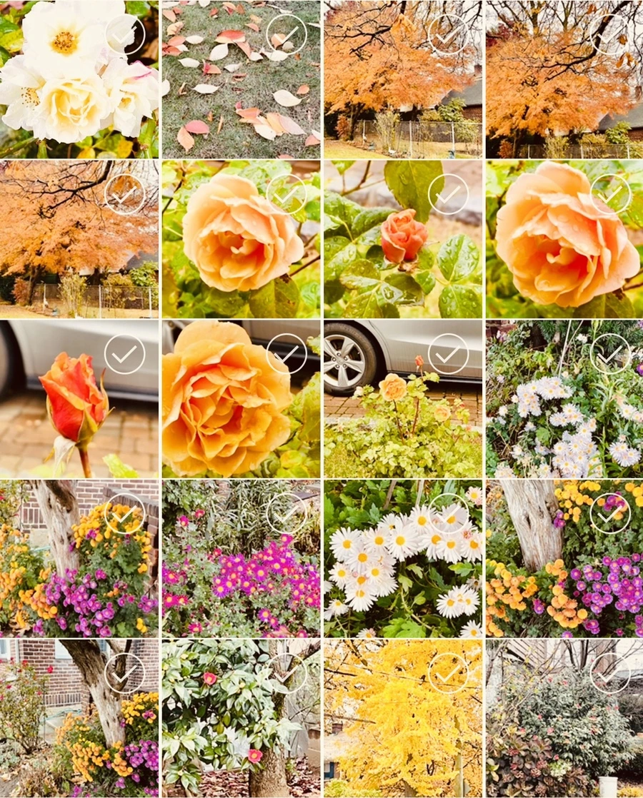 IMG_4953.jpg?type=w966