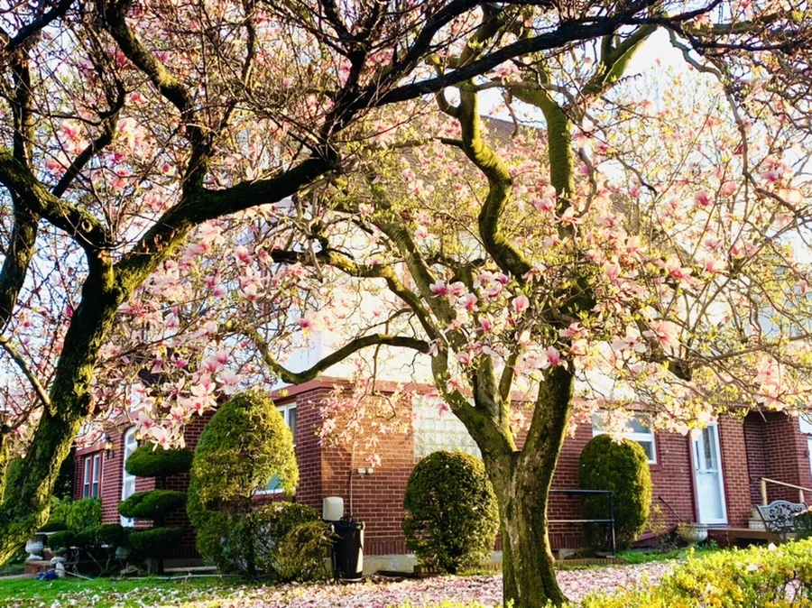 IMG_2436.jpg?type=w966