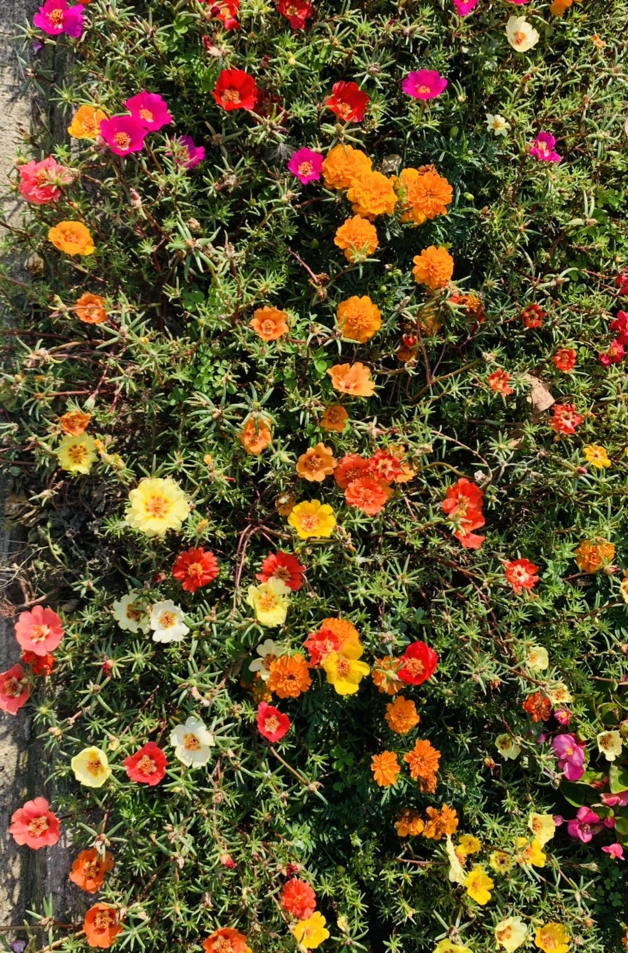 IMG_6634.jpg?type=w966