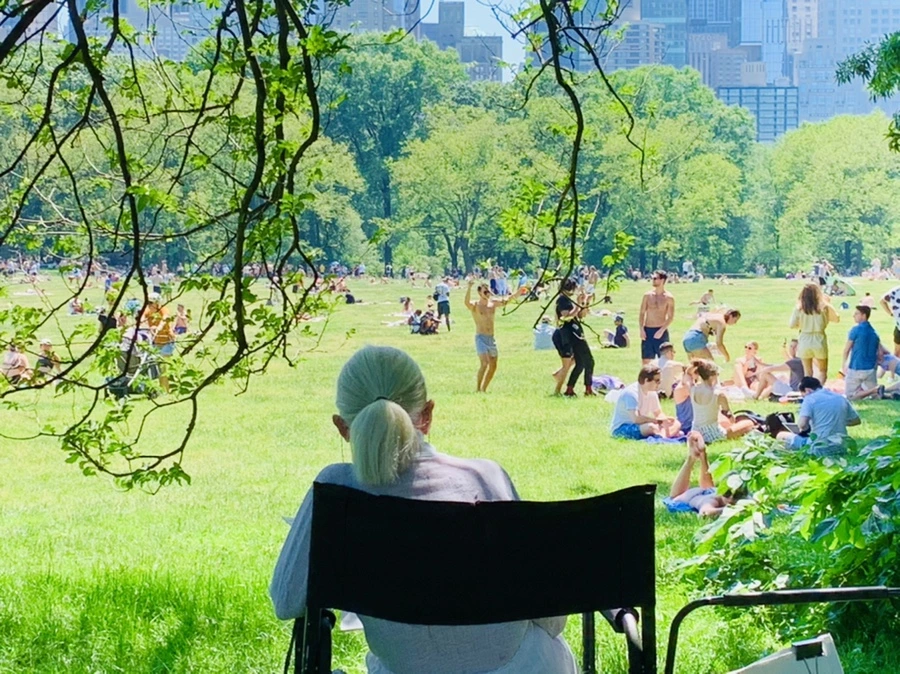 IMG_1036.jpg?type=w966