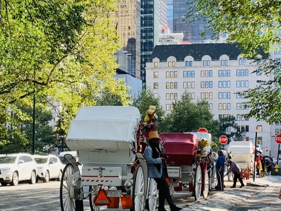 IMG_9721.jpg?type=w966