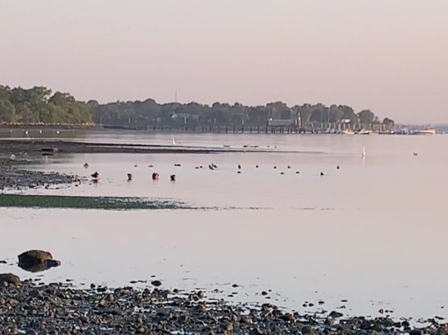 IMG_0220.jpg?type=w966