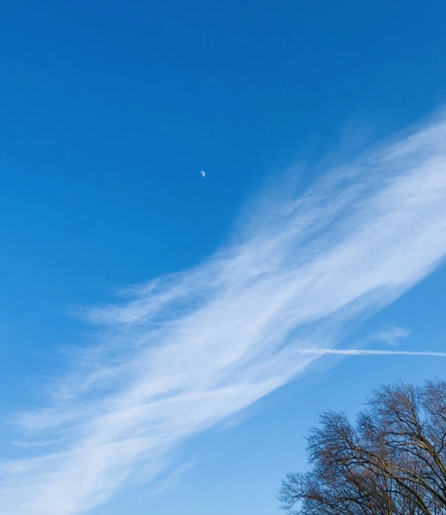 IMG_4827.jpg?type=w966