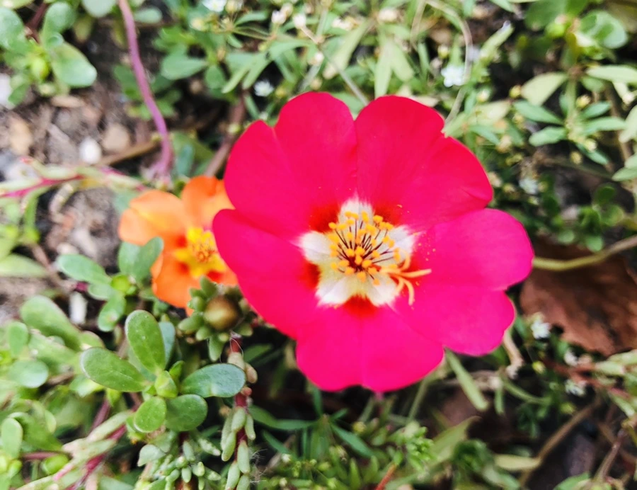 IMG_9944.jpg?type=w966