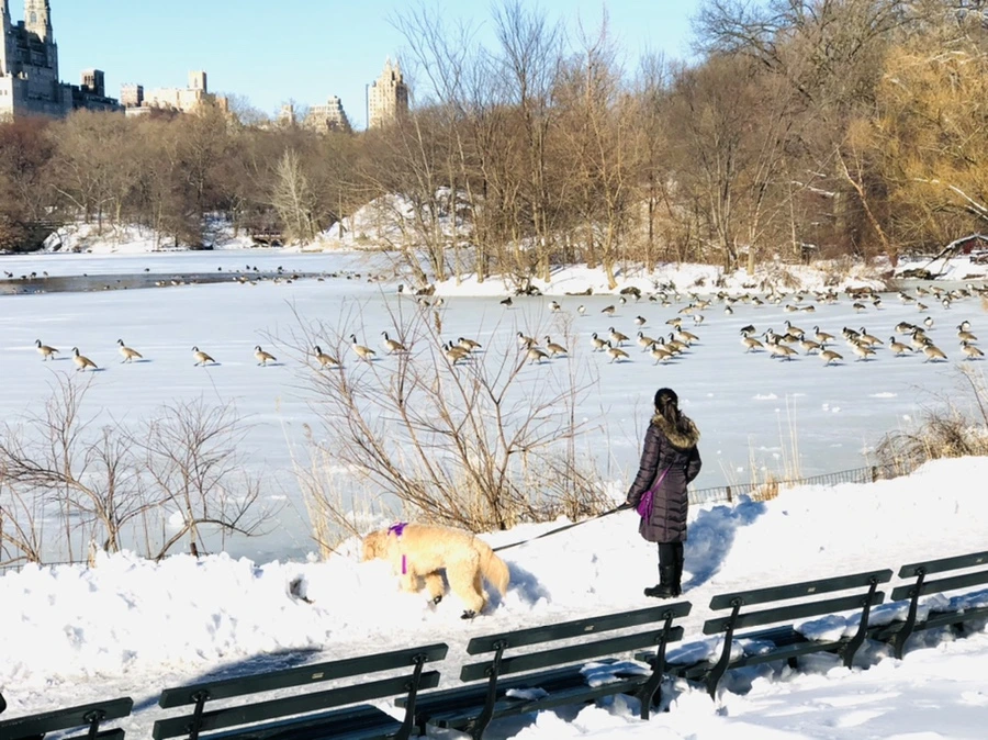 IMG_9856.jpg?type=w966