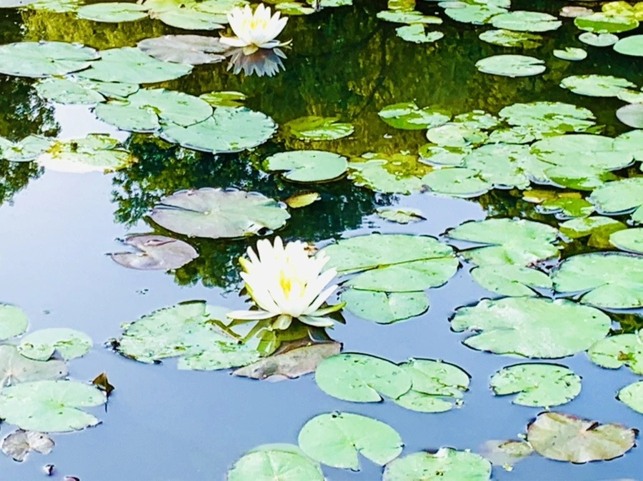 7Tpo4XVUWSJ7_4XOYKT0_9_0KoQ