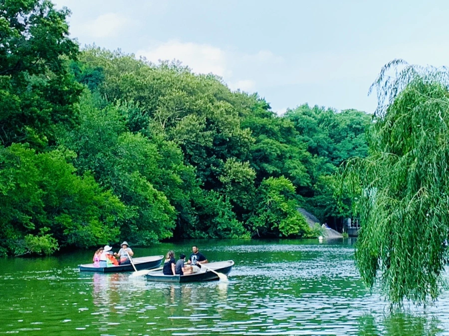 IMG_0642.jpg?type=w966