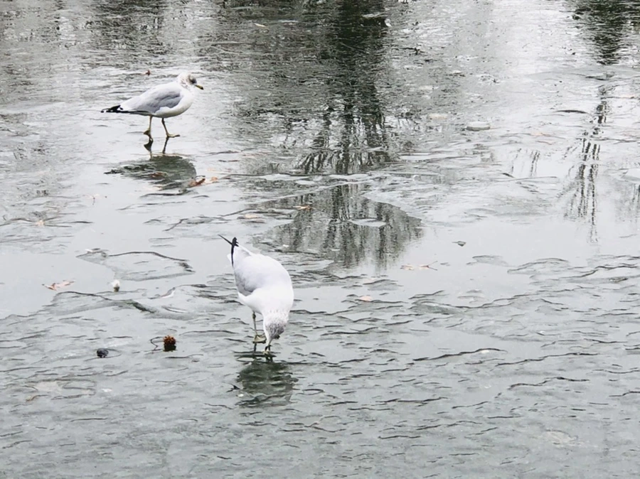 IMG_3144.jpg?type=w966