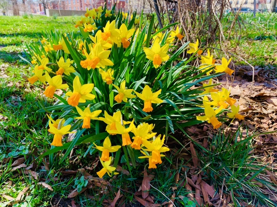 IMG_5809.jpg?type=w966