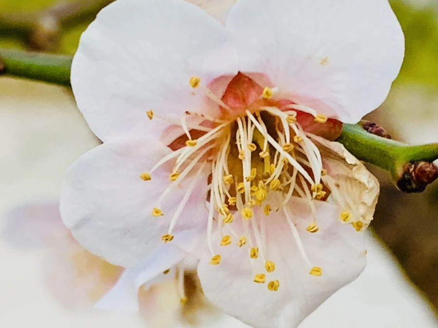 IMG_2780.jpg?type=w966