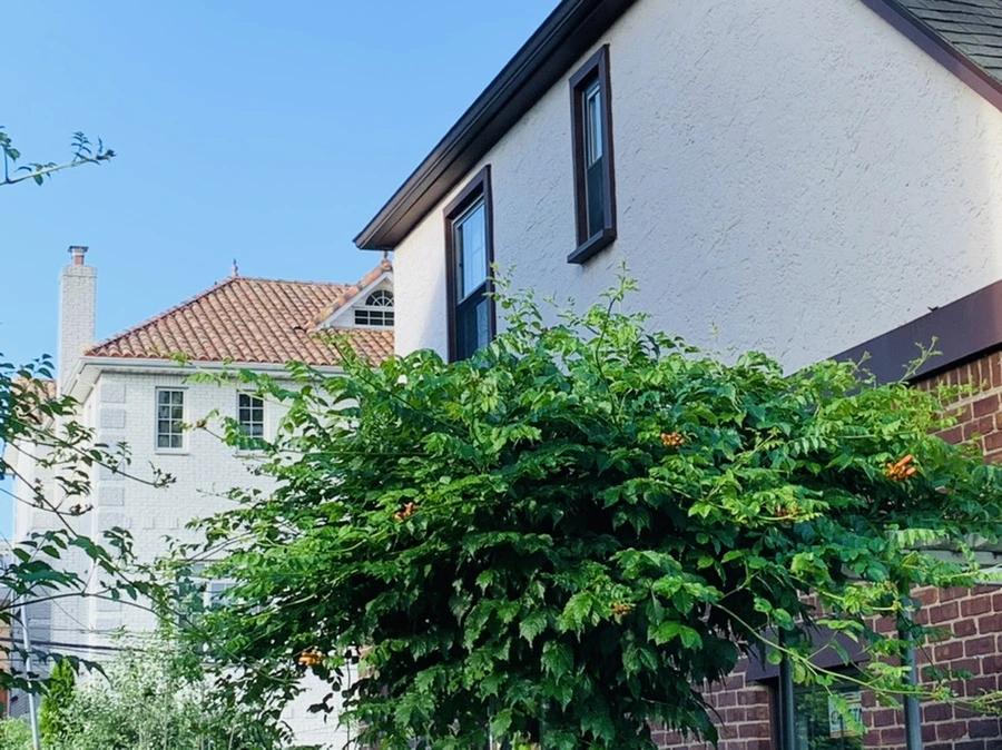 IMG_5266.jpg?type=w966