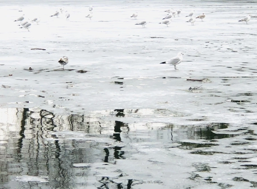 IMG_6413.jpg?type=w966