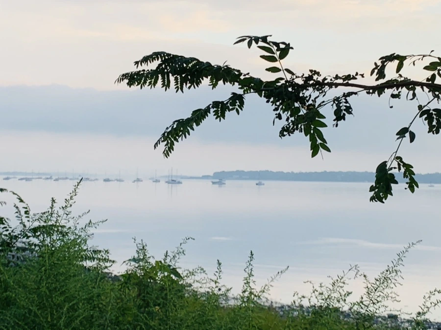 IMG_8210.jpg?type=w966