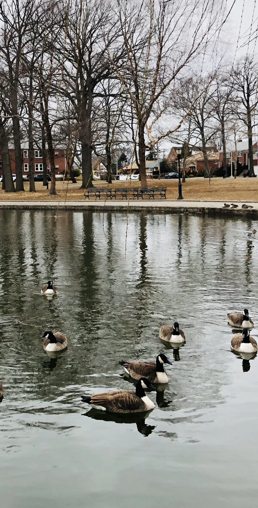 IMG_9523.jpg?type=w966