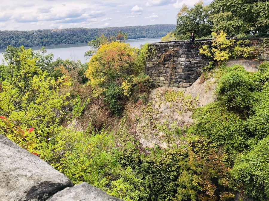 IMG_1511.jpg?type=w966