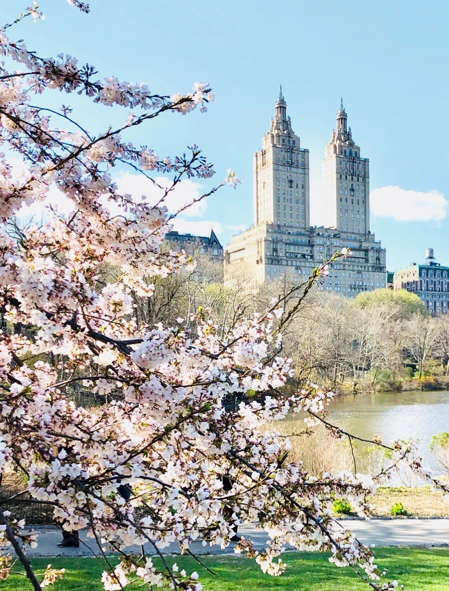 IMG_4525.jpg?type=w966