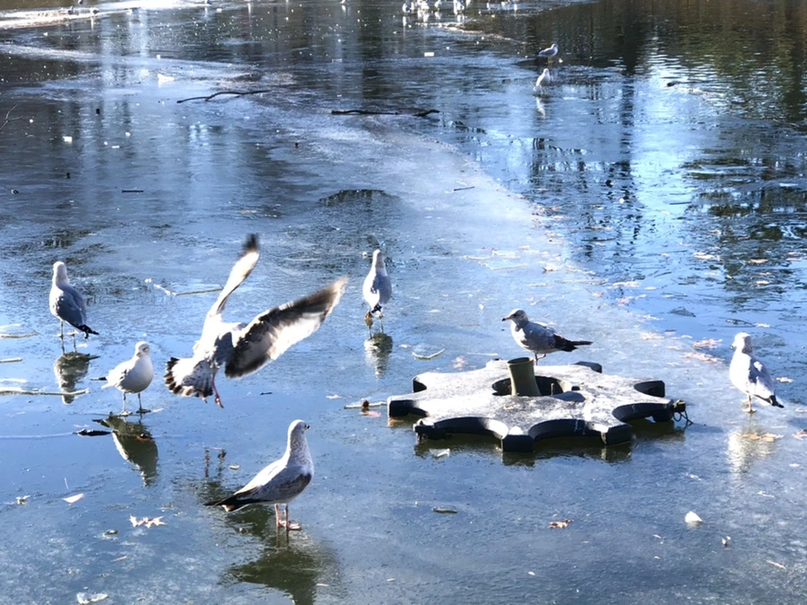 IMG_1851.jpg?type=w966