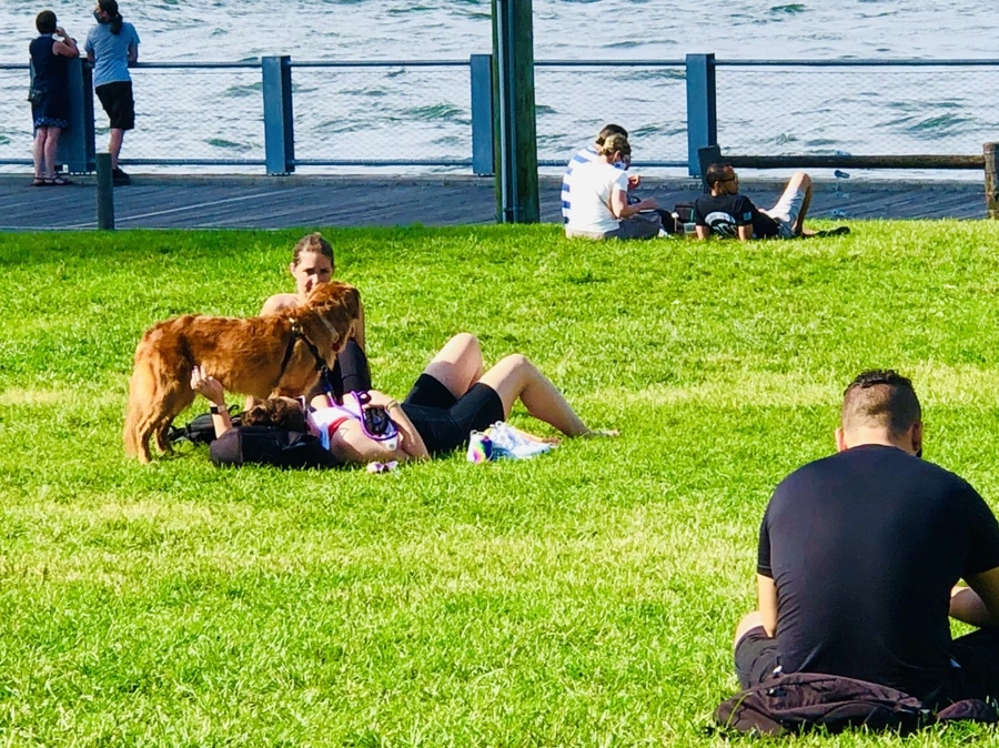 IMG_9655.jpg?type=w966