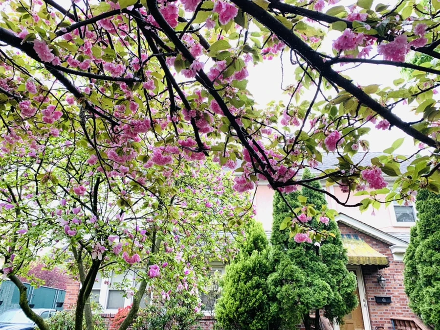 IMG_9270.jpg?type=w966