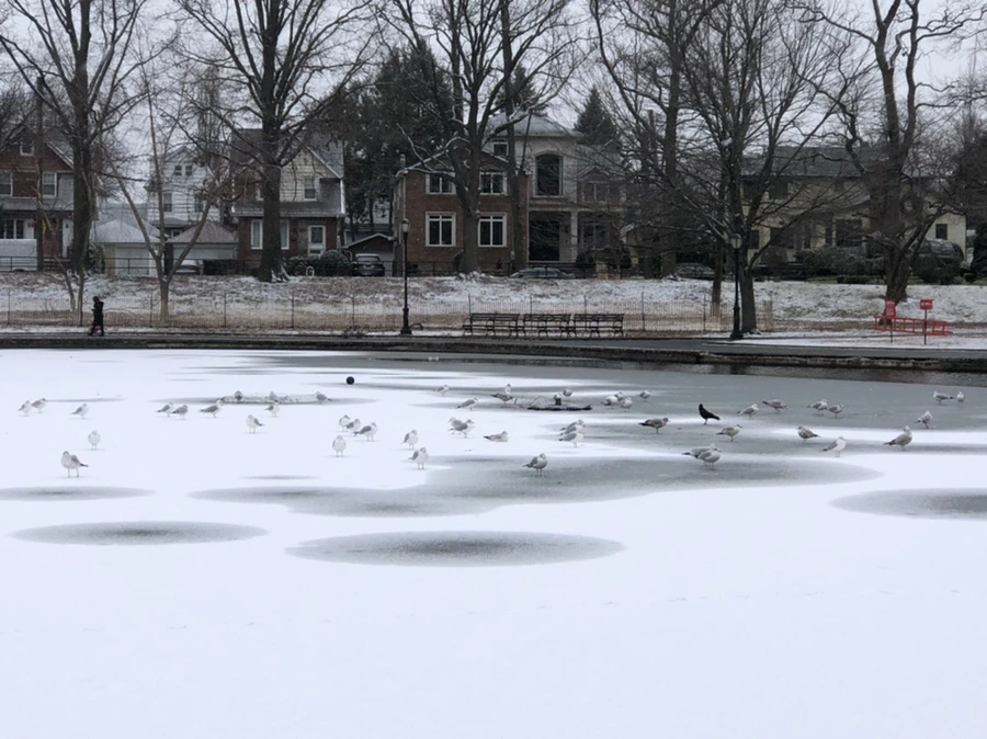 IMG_6169.jpg?type=w966