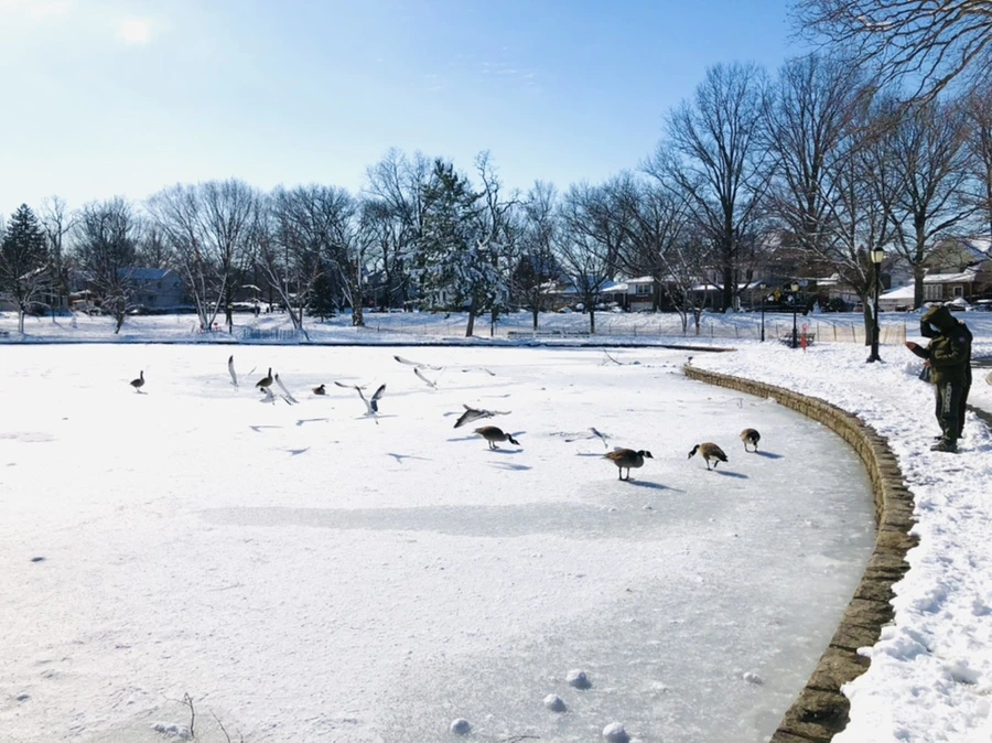 IMG_1335.jpg?type=w966