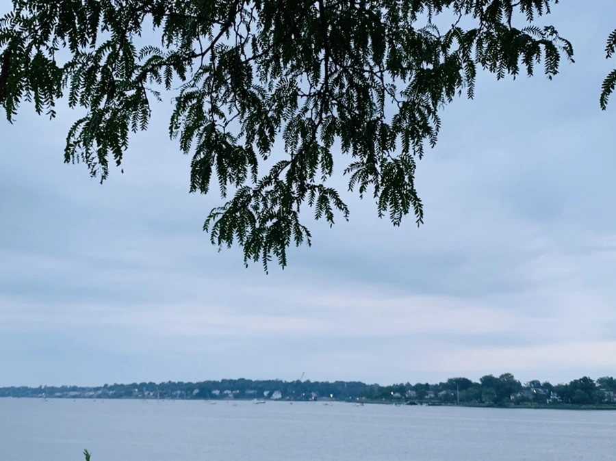 IMG_0718.jpg?type=w966