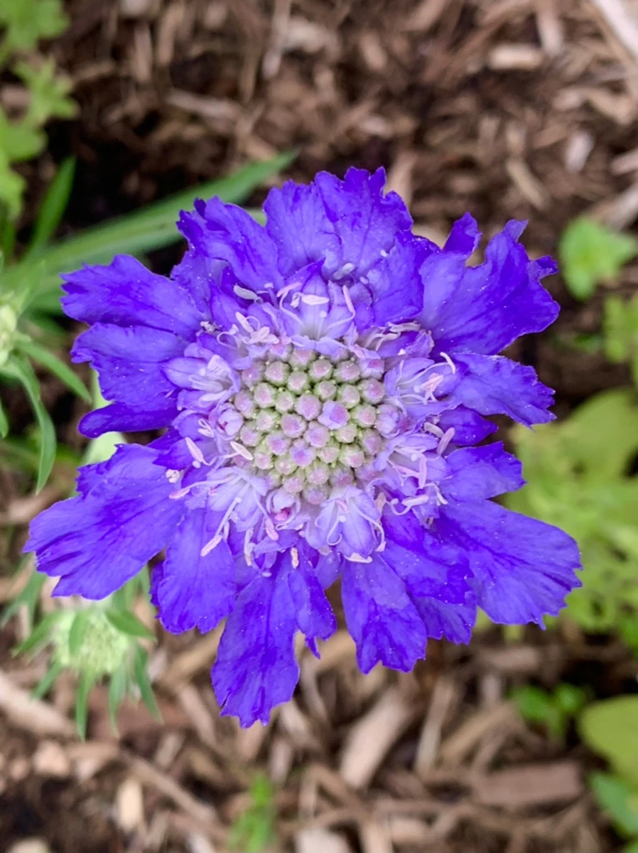 IMG_8768.jpg?type=w966