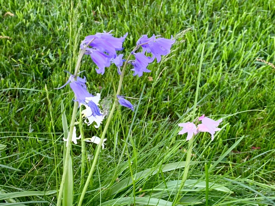 IMG_2140.jpg?type=w966