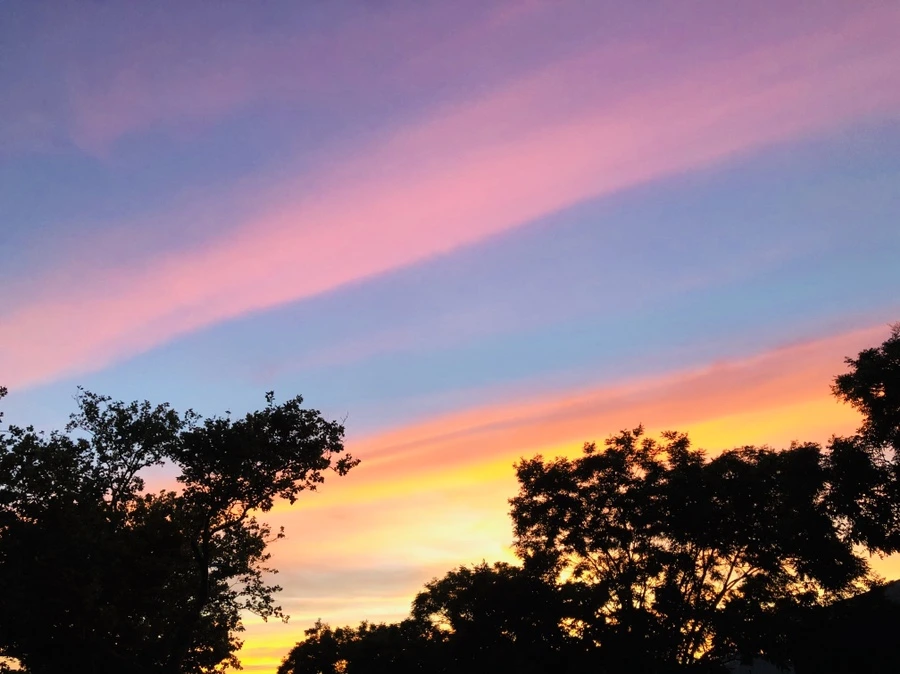 IMG_4572.jpg?type=w966