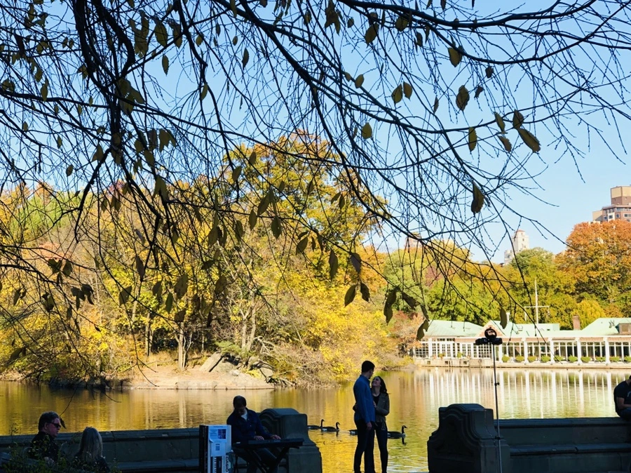 IMG_3555.jpg?type=w966