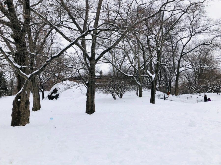 IMG_9585.jpg?type=w966