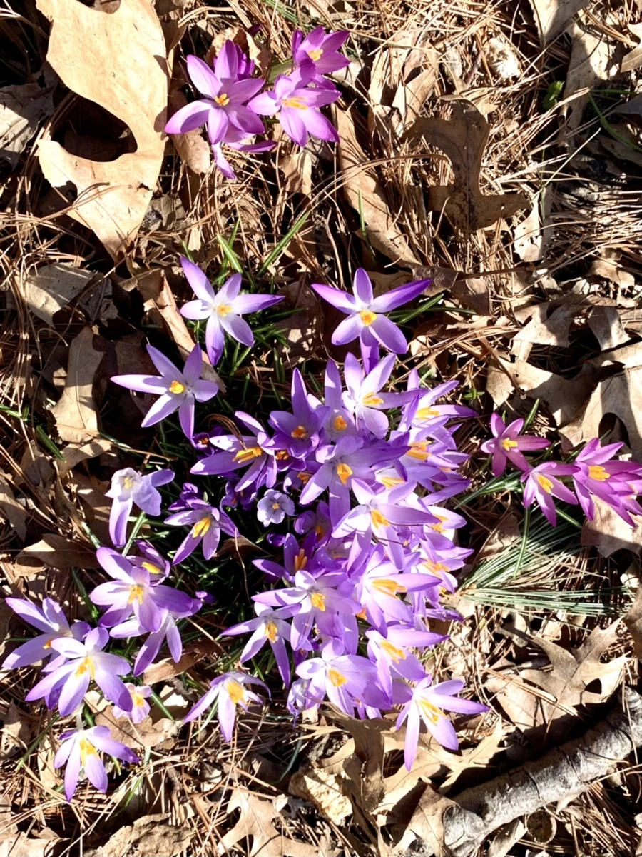 IMG_9671.jpg?type=w966