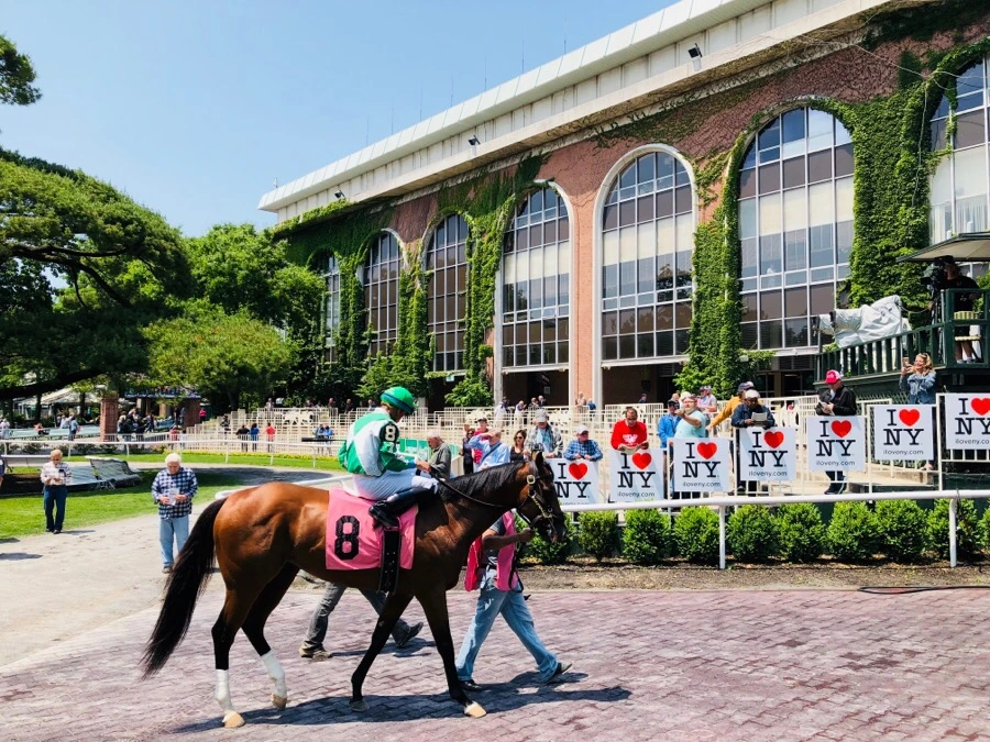 IMG_7329.jpg?type=w966