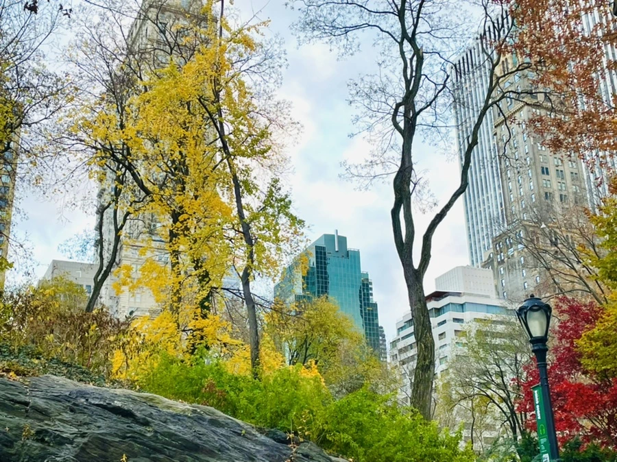 IMG_5316.jpg?type=w966