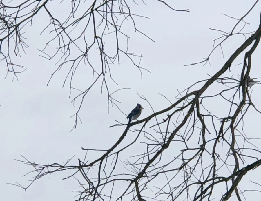 IMG_9469.jpg?type=w966