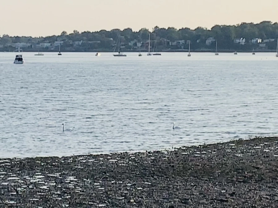 IMG_9847.jpg?type=w966