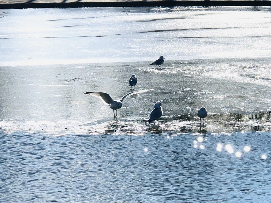 IMG_6845.jpg?type=w966