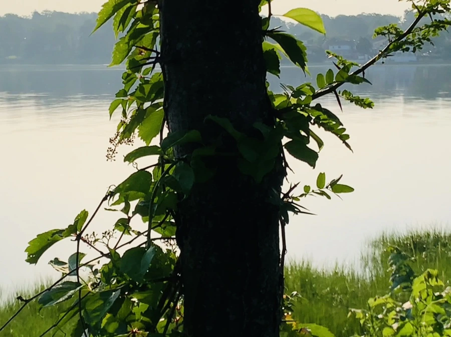 IMG_6515.jpg?type=w966