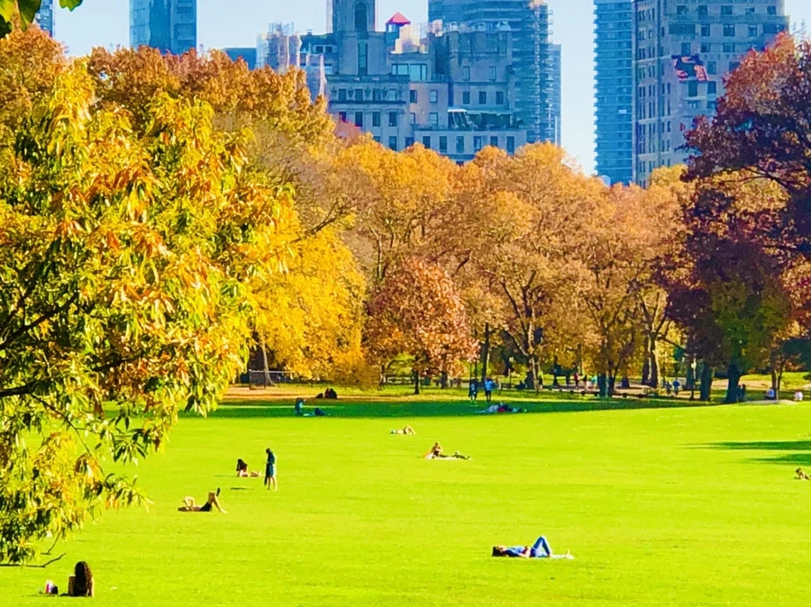 IMG_4358.jpg?type=w966