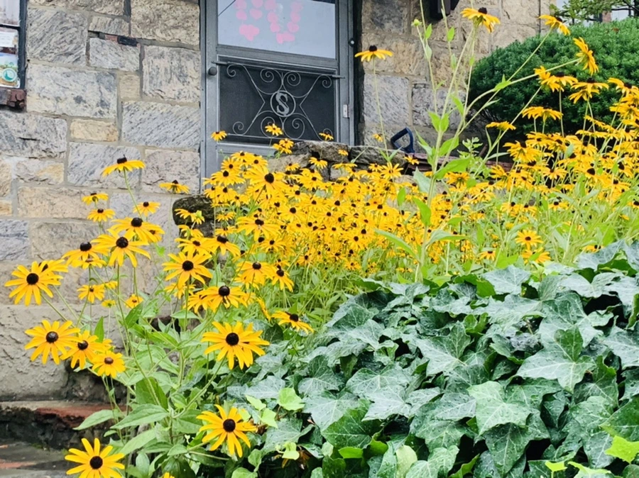 IMG_3665.jpg?type=w966