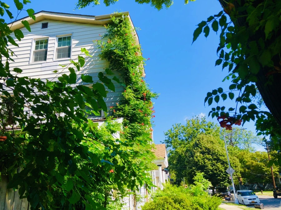 IMG_2836.jpg?type=w966