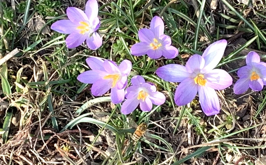 IMG_0224.jpg?type=w966