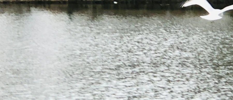 IMG_9589.jpg?type=w966