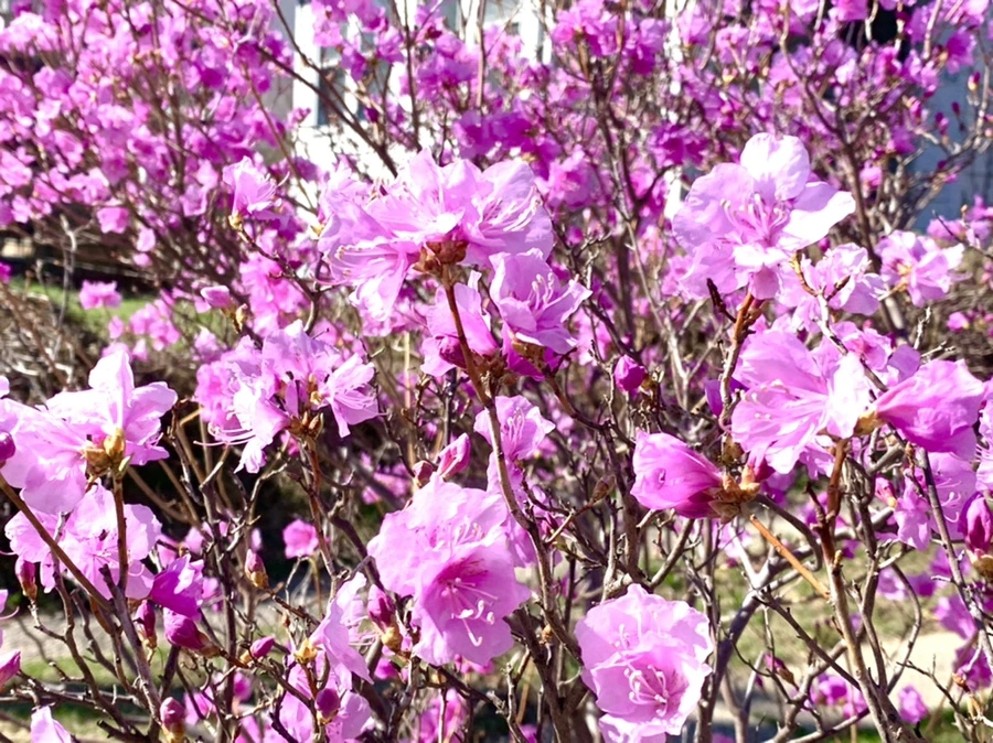 IMG_5513.jpg?type=w966