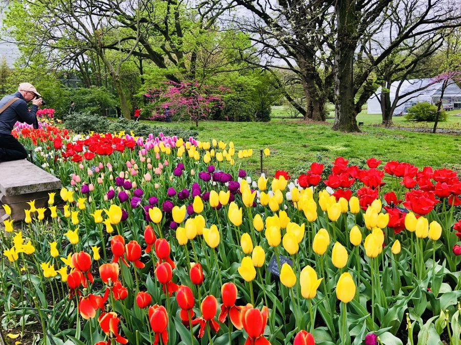 IMG_3720.jpg?type=w966