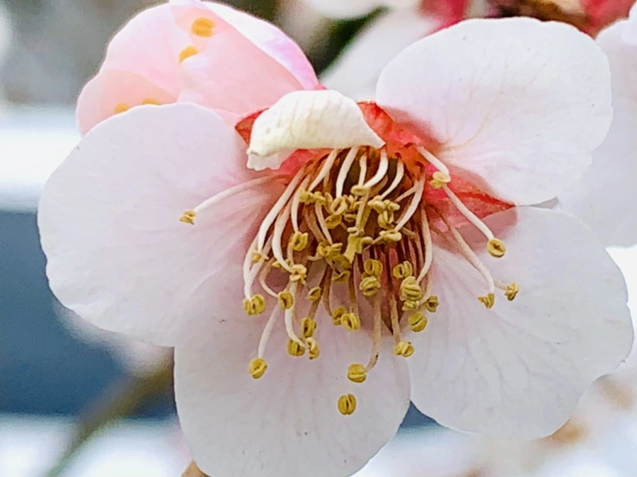 IMG_3650.jpg?type=w966