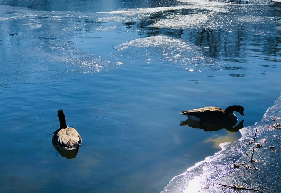 IMG_7836.jpg?type=w966